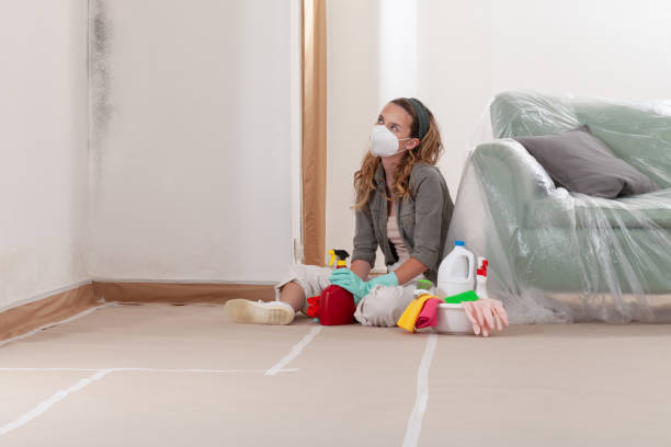 Reliable Mold Testing contractor in Westville, NJ by WQB Mold Removal